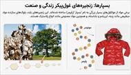 درسنامه فصل 1 مواد و نقش آنها در زندگی (علوم نهم)