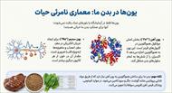 درسنامه فصل 2 رفتار اتم ها با یکدیگر (علوم نهم)