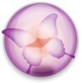 دیجی